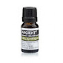 Salmenes ( Helichrysum)  ēteriskā  eļļa (100% tīra un dabīga) 10 ml