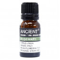 Organiskā Rozmarīna ēteriskā eļļa 100% dabīga 10 ml