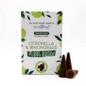 Vīraks Citronella & Citronzāle ar lejup ejošu dūmu ( Back flow) 12 gab