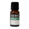 Kajaputa (Kadžeputa) ēteriskā eļļa ( 100% tīra un dabīga) 10ml