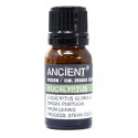 Organiskā Eikalipta ēteriskā eļļa 100% dabīga 10 ml